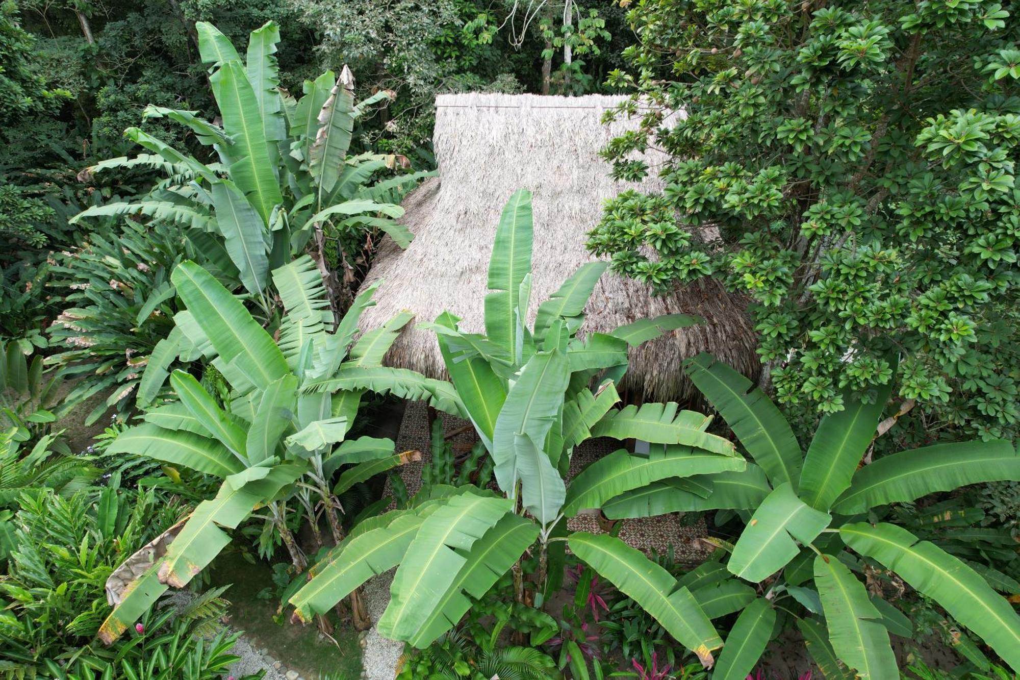 Salvia Madre Hotel Guachaca Luaran gambar