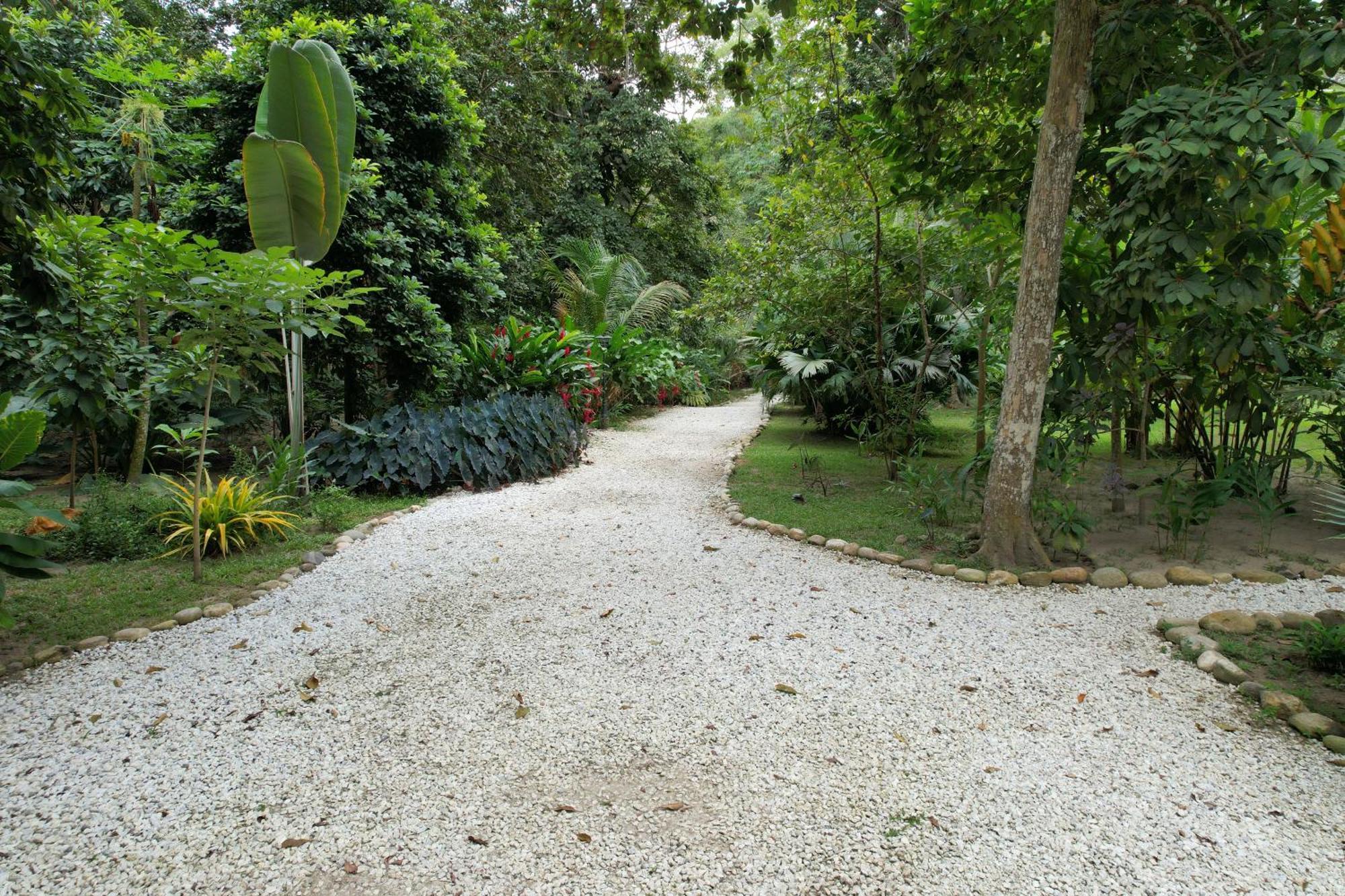 Salvia Madre Hotel Guachaca Luaran gambar