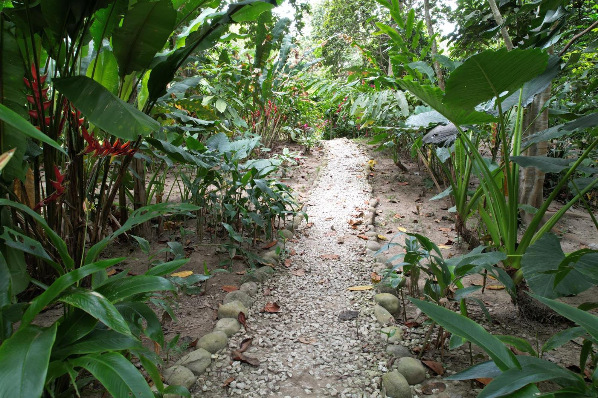Salvia Madre Hotel Guachaca Luaran gambar