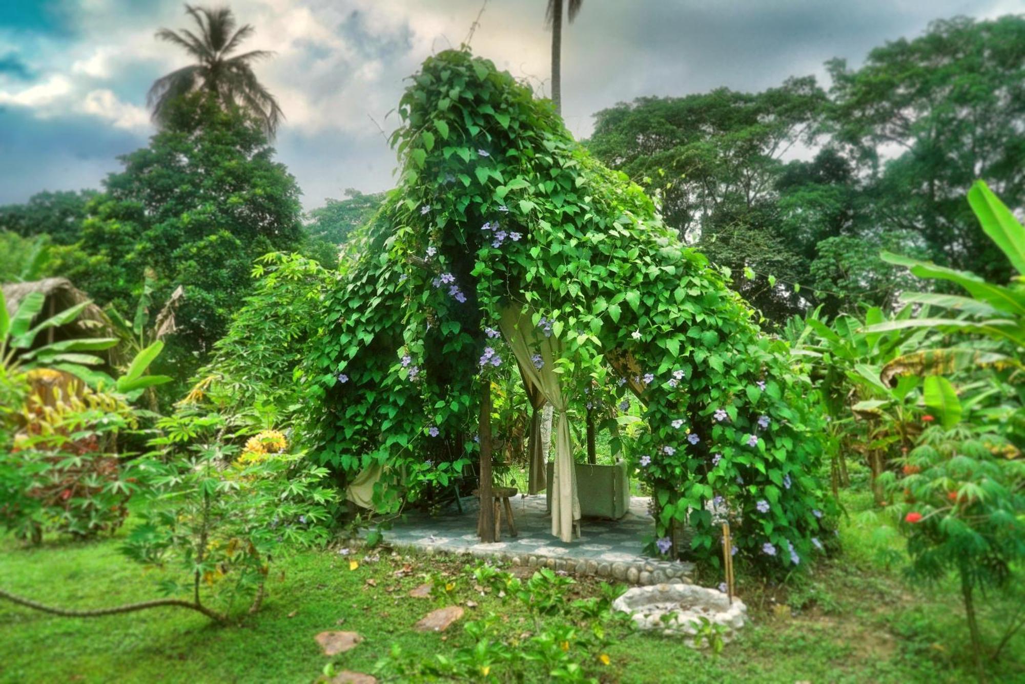 Salvia Madre Hotel Guachaca Luaran gambar