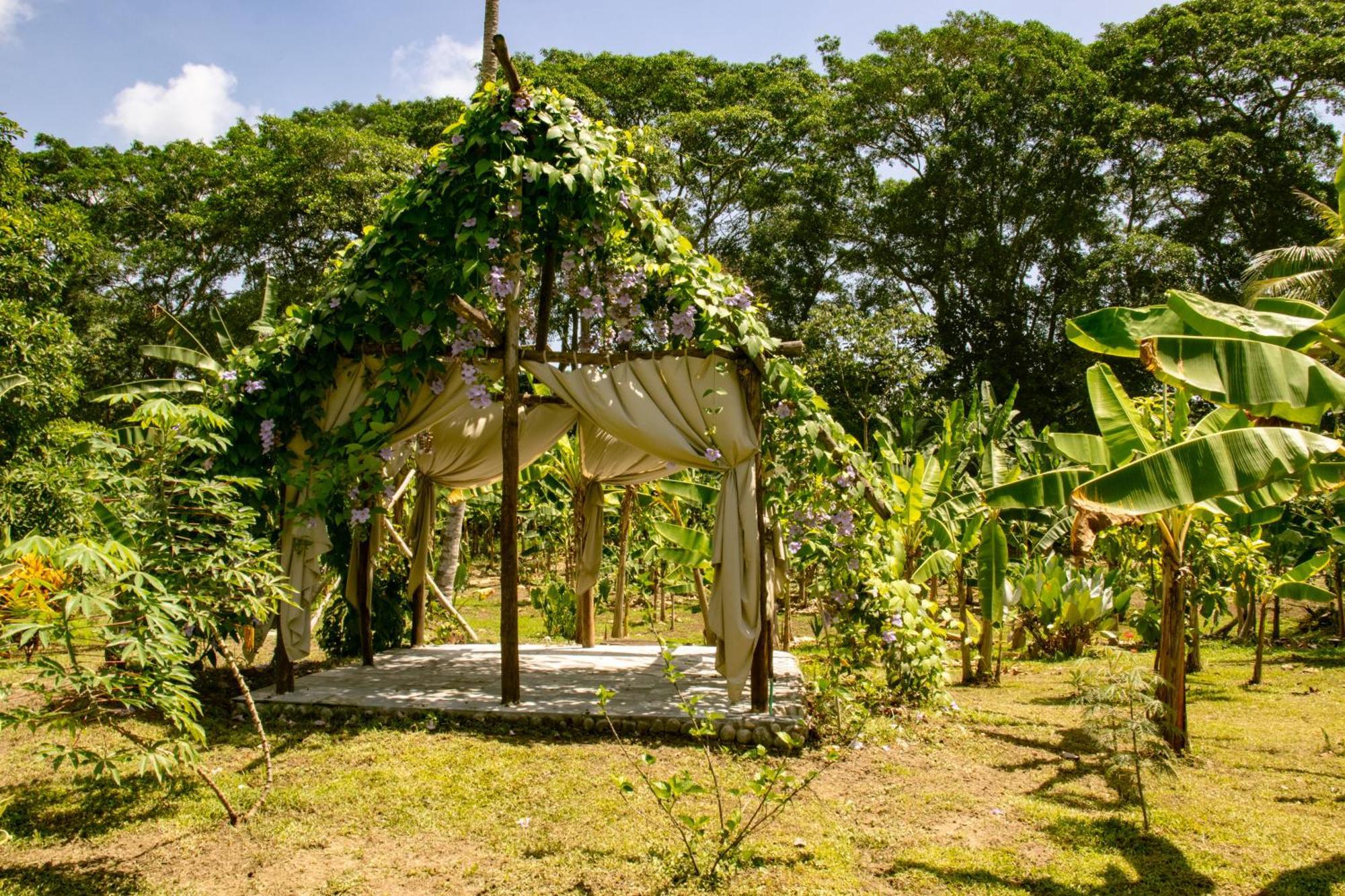 Salvia Madre Hotel Guachaca Luaran gambar