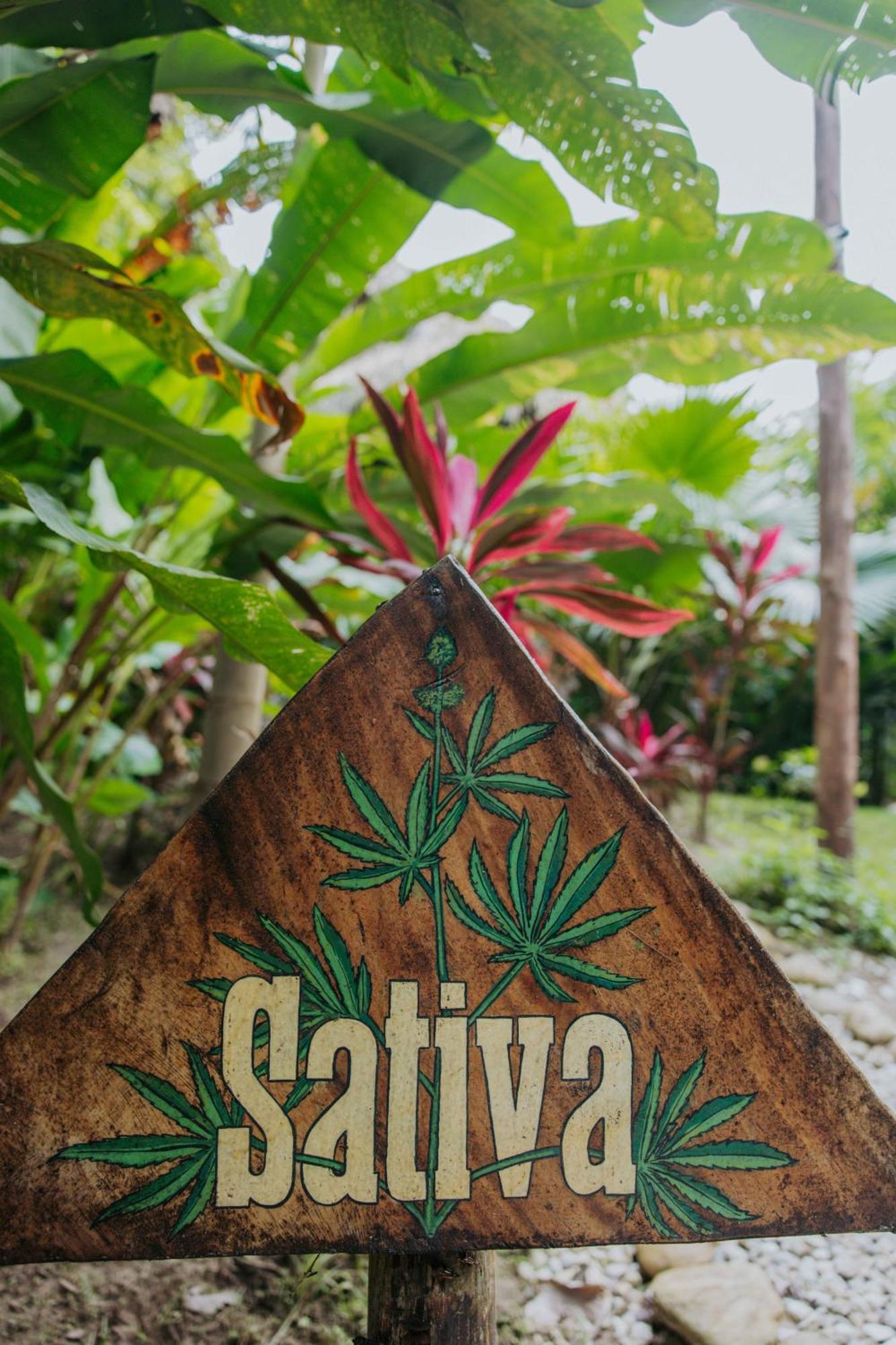 Salvia Madre Hotel Guachaca Luaran gambar