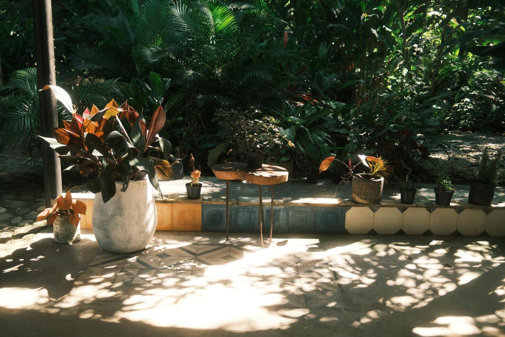 Salvia Madre Hotel Guachaca Luaran gambar