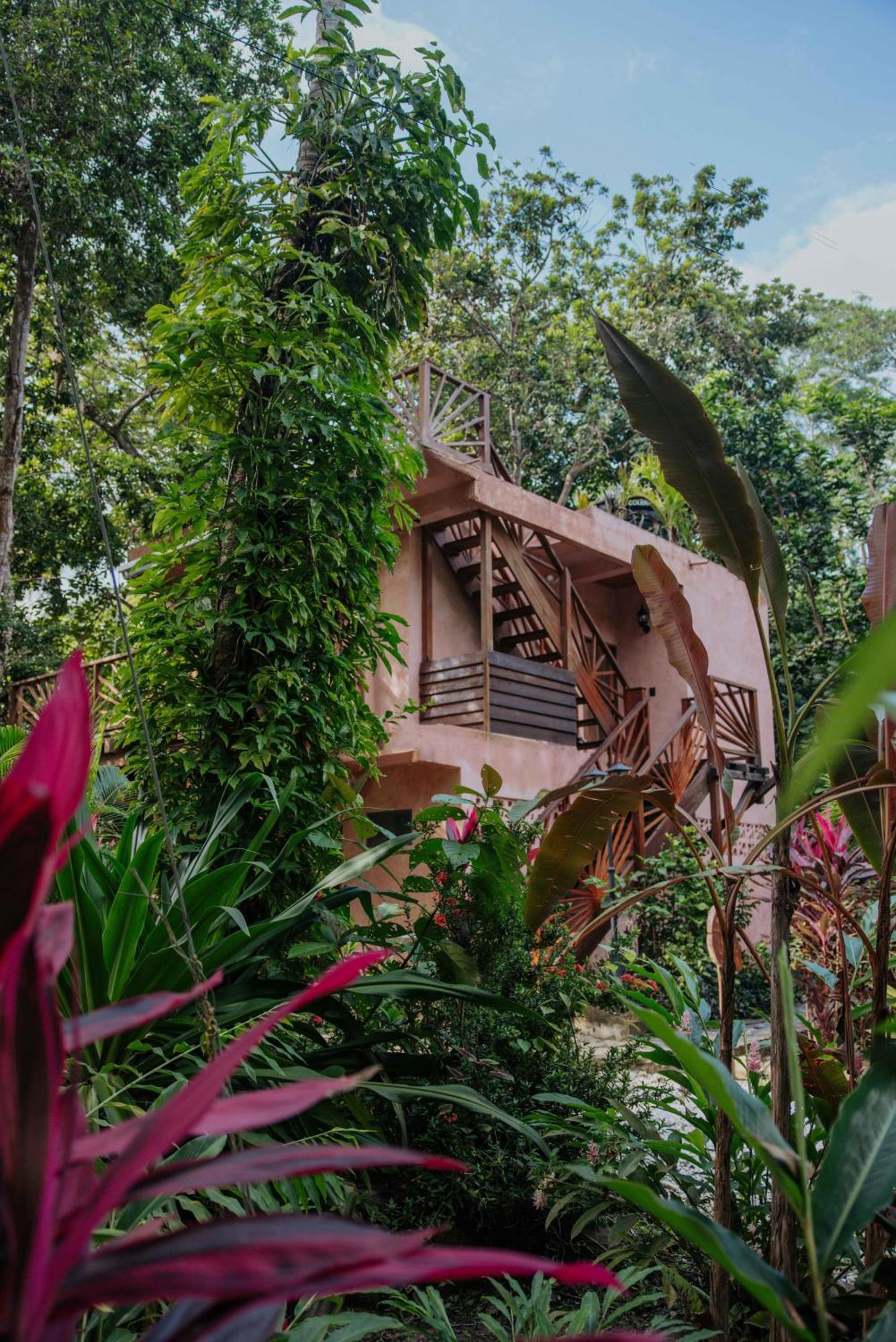 Salvia Madre Hotel Guachaca Luaran gambar